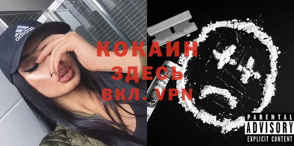 эйфоретик Алзамай