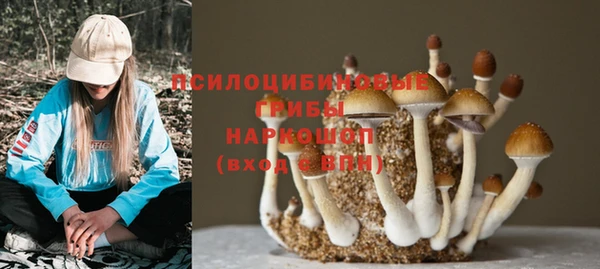 эйфоретик Алзамай